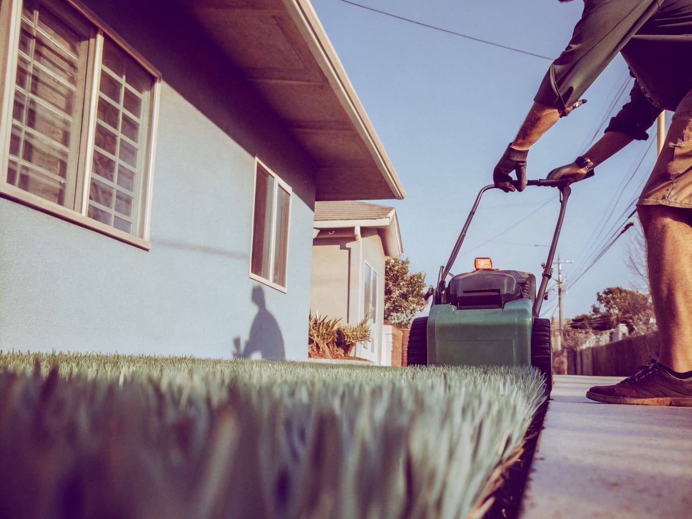 Professional lawn mowing and maintenance service